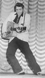 Elvis