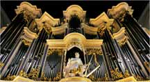 Organ