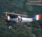 Nieuport11silver.jpg (97985 bytes)