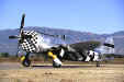 P-47Thunderbolt2.jpg (50374 bytes)